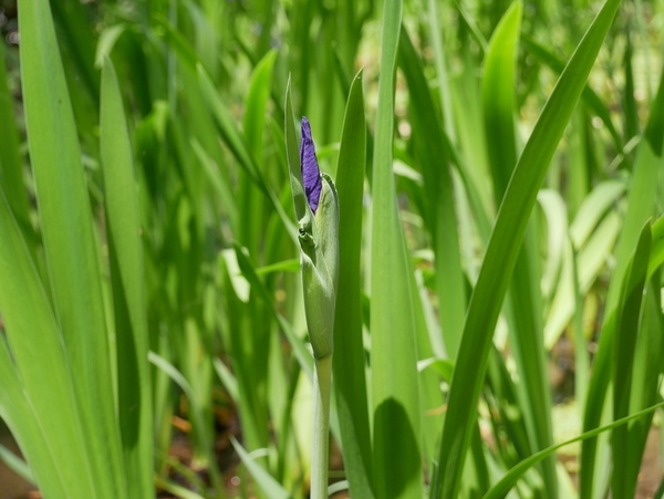 f:id:gzutetsu:20190505113623j:image f:id:gzutetsu:20190505113623j:image
