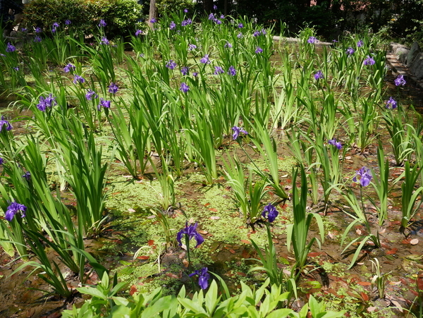 f:id:gzutetsu:20190505113702j:image f:id:gzutetsu:20190505113702j:image