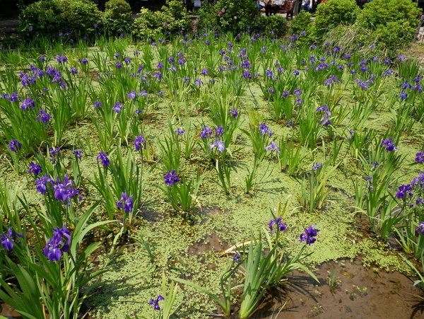 f:id:gzutetsu:20190505114238j:image f:id:gzutetsu:20190505114238j:image