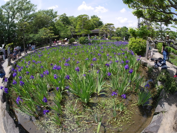 f:id:gzutetsu:20190505122615j:image f:id:gzutetsu:20190505122615j:image