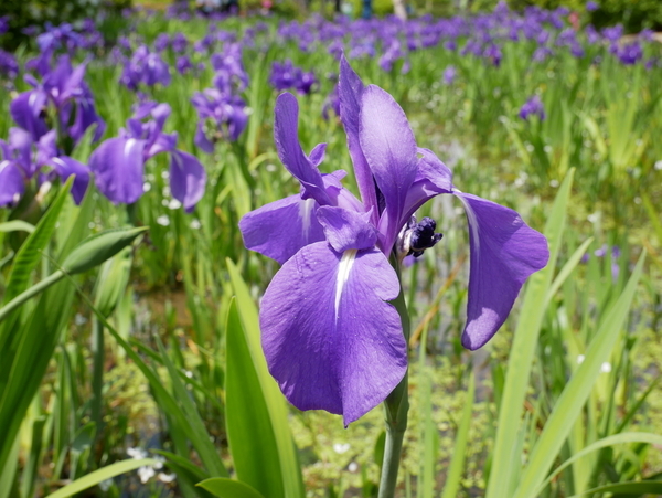 f:id:gzutetsu:20190505122823j:image f:id:gzutetsu:20190505122823j:image
