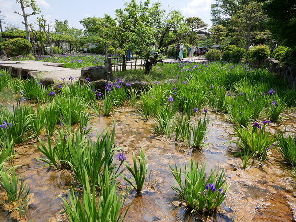 f:id:gzutetsu:20190505123324j:image f:id:gzutetsu:20190505123324j:image