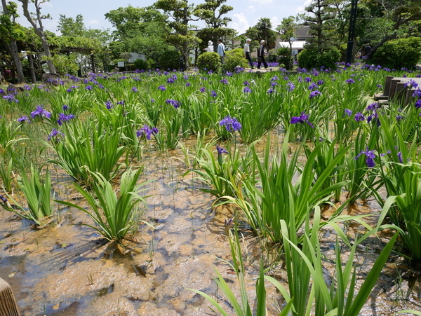 f:id:gzutetsu:20190505123433j:image f:id:gzutetsu:20190505123433j:image