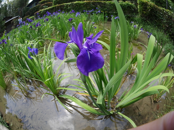 f:id:gzutetsu:20190505123613j:image f:id:gzutetsu:20190505123613j:image