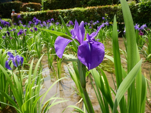f:id:gzutetsu:20190505124019j:image f:id:gzutetsu:20190505124019j:image