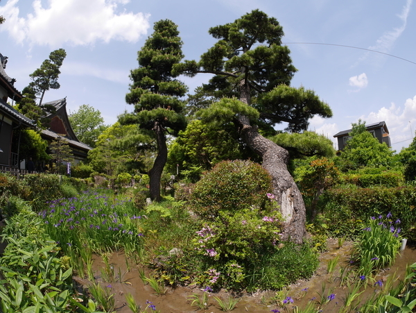f:id:gzutetsu:20190505124031j:image f:id:gzutetsu:20190505124031j:image
