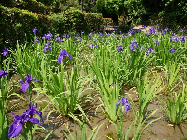 f:id:gzutetsu:20190505124214j:image f:id:gzutetsu:20190505124214j:image
