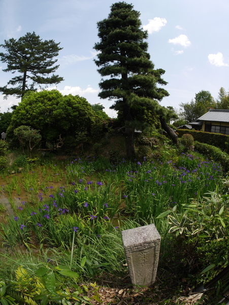 f:id:gzutetsu:20190505124259j:image f:id:gzutetsu:20190505124259j:image