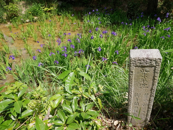 f:id:gzutetsu:20190505124546j:image f:id:gzutetsu:20190505124546j:image