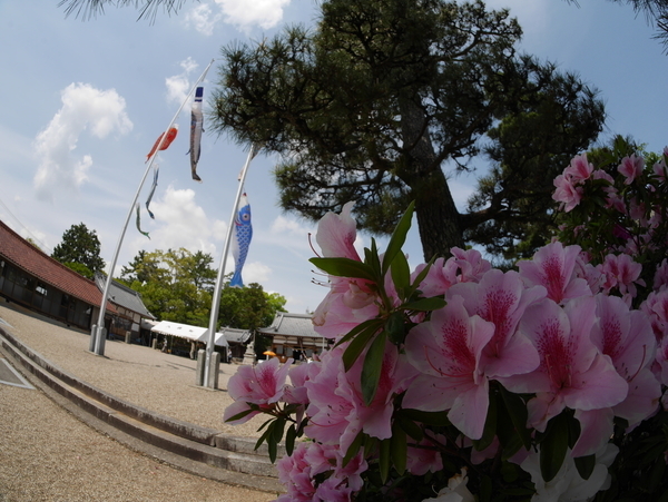 f:id:gzutetsu:20190505125305j:image f:id:gzutetsu:20190505125305j:image
