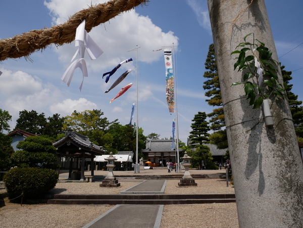 f:id:gzutetsu:20190505125913j:image f:id:gzutetsu:20190505125913j:image