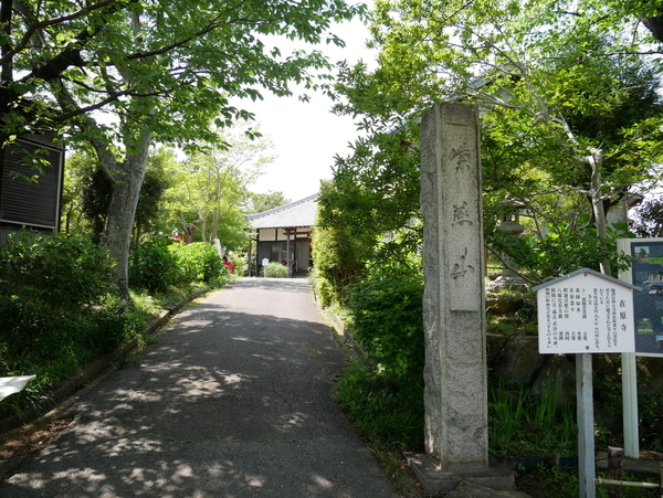 f:id:gzutetsu:20190505132038j:image f:id:gzutetsu:20190505132038j:image