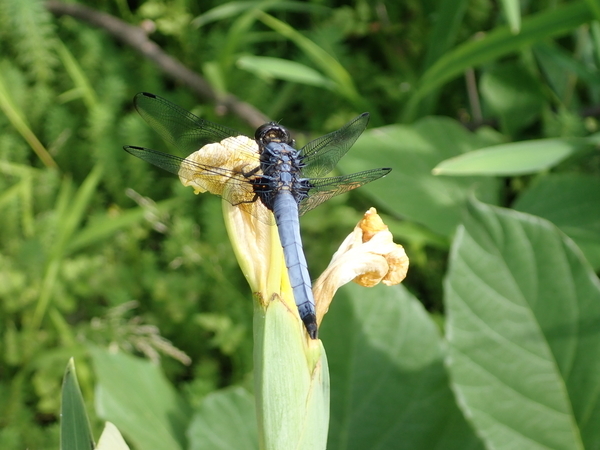f:id:gzutetsu:20190601154632j:image f:id:gzutetsu:20190601154632j:image