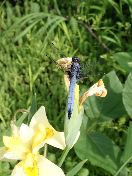 f:id:gzutetsu:20190601154651j:image f:id:gzutetsu:20190601154651j:image