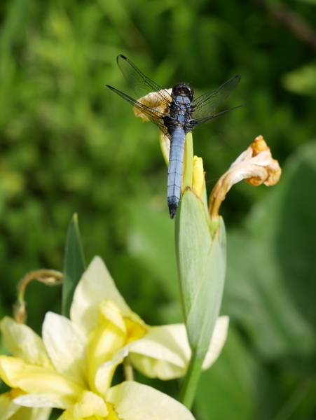 f:id:gzutetsu:20190601154831j:image f:id:gzutetsu:20190601154831j:image