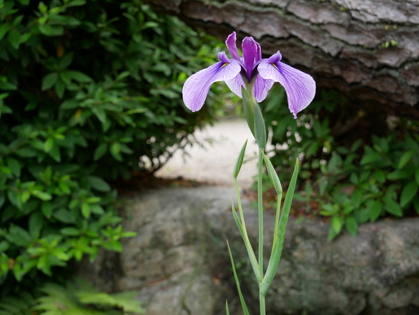 f:id:gzutetsu:20190601155119j:image f:id:gzutetsu:20190601155119j:image