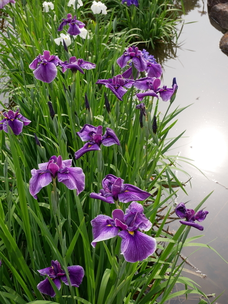 f:id:gzutetsu:20190601155904j:image f:id:gzutetsu:20190601155904j:image