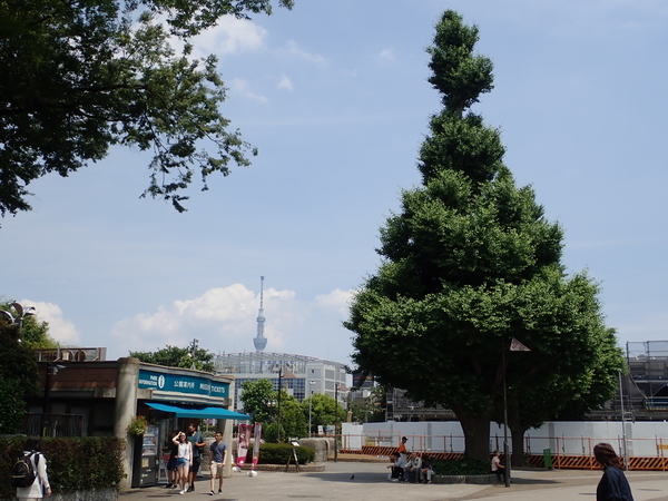 f:id:gzutetsu:20190606125601j:image