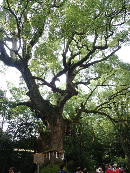 f:id:gzutetsu:20190803143806j:image f:id:gzutetsu:20190803143806j:image