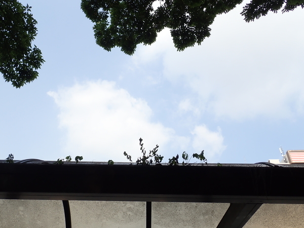 f:id:gzutetsu:20190803144946j:image f:id:gzutetsu:20190803144946j:image