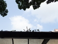 20190803144947