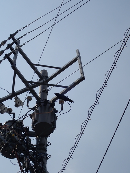 f:id:gzutetsu:20190803145258j:image f:id:gzutetsu:20190803145258j:image