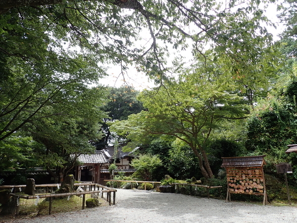 f:id:gzutetsu:20190813122622j:image