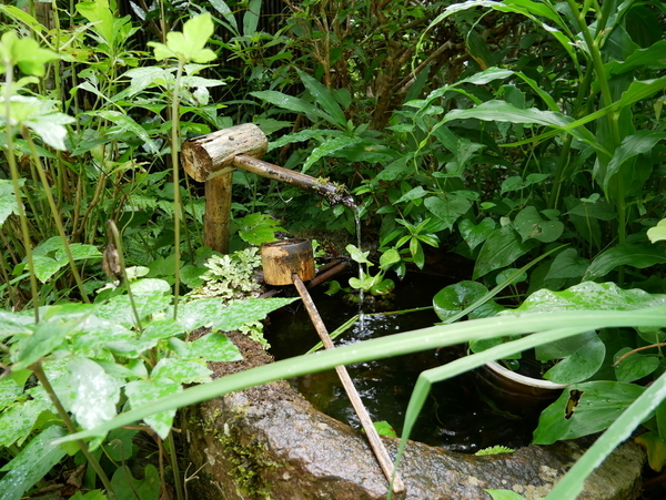 f:id:gzutetsu:20190814090142j:image