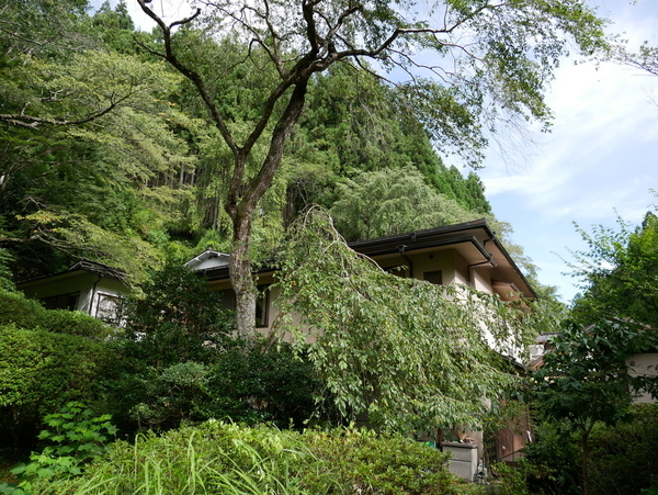 f:id:gzutetsu:20190814090222j:image