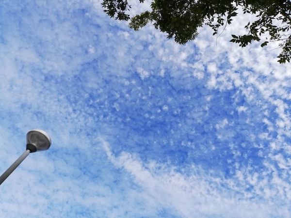 f:id:gzutetsu:20190929090653j:image