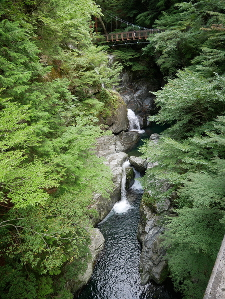 f:id:gzutetsu:20190929114426j:image
