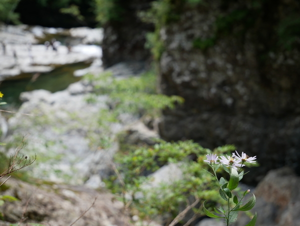 f:id:gzutetsu:20190929115625j:image