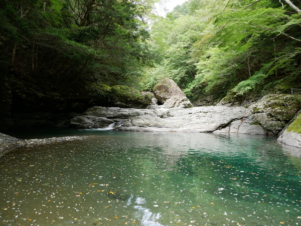 f:id:gzutetsu:20190929121733j:image