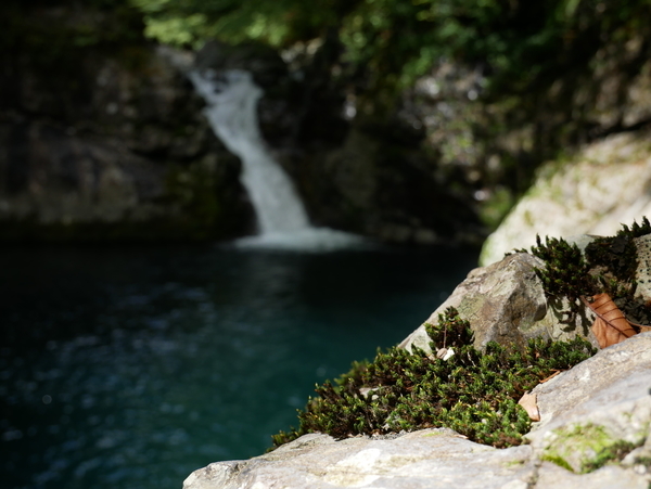 f:id:gzutetsu:20190929123924j:image