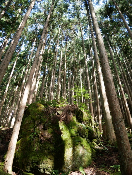f:id:gzutetsu:20190929135854j:image