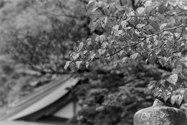 f:id:gzutetsu:20190930101100j:image