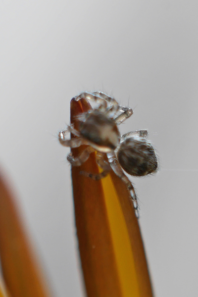 f:id:gzutetsu:20191116135904j:image