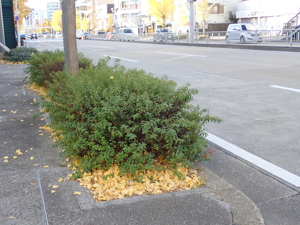 f:id:gzutetsu:20191130084028j:image