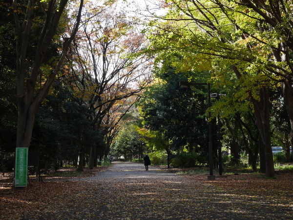 f:id:gzutetsu:20191205123312j:image