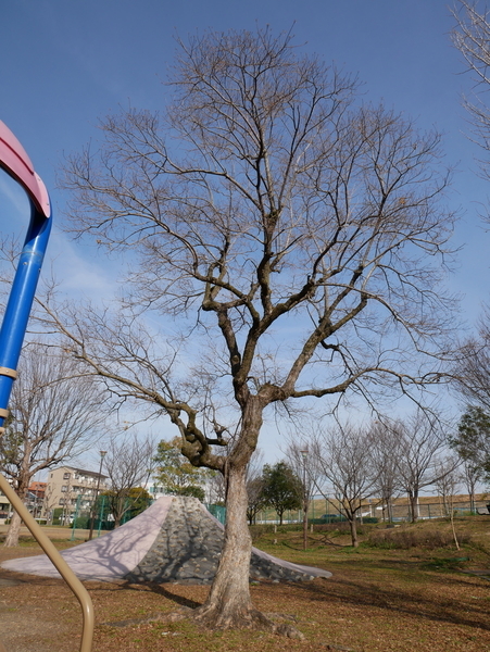 f:id:gzutetsu:20200126134547j:image