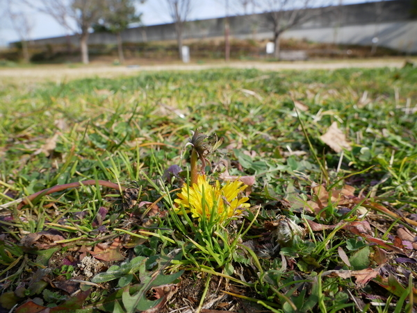 f:id:gzutetsu:20200126135406j:image