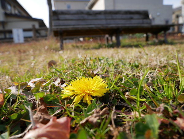 f:id:gzutetsu:20200126135511j:image