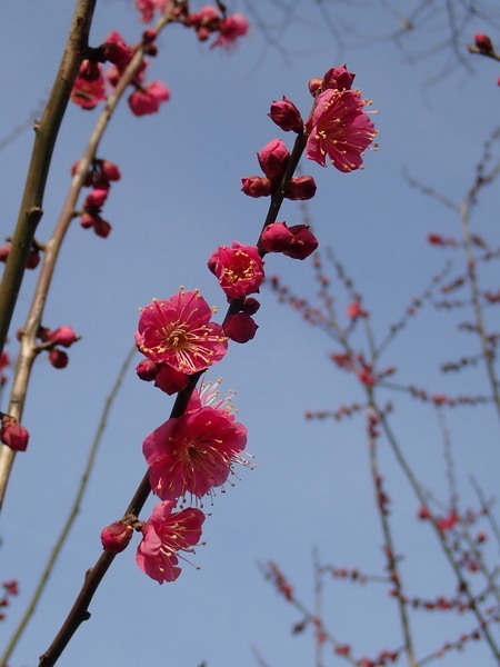 f:id:gzutetsu:20200126140420j:image