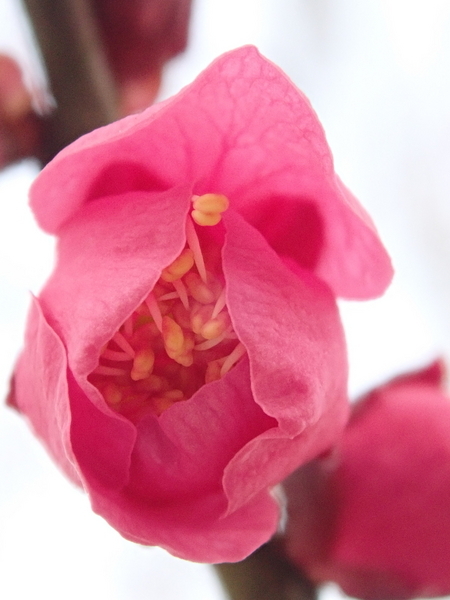 f:id:gzutetsu:20200126141252j:image
