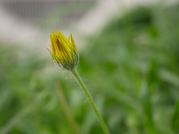 f:id:gzutetsu:20200126144055j:image