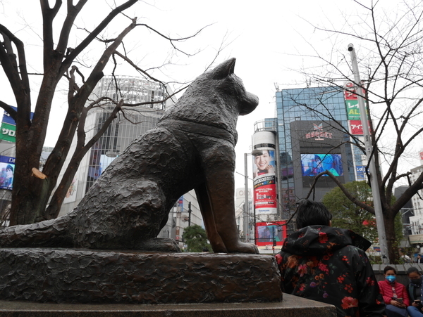 f:id:gzutetsu:20200220123631j:image