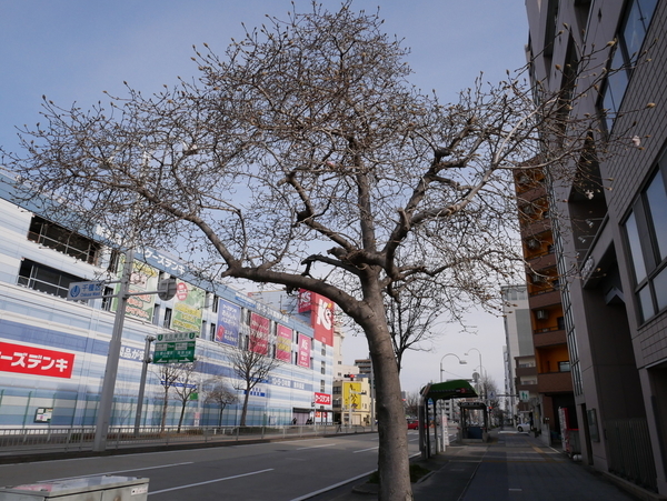 f:id:gzutetsu:20200307082820j:image