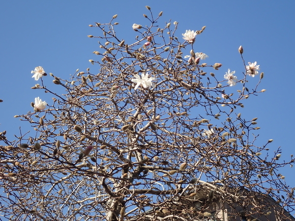 f:id:gzutetsu:20200312083431j:image