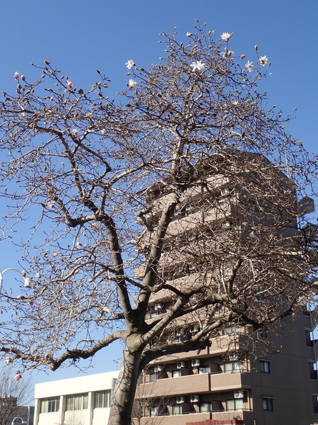 f:id:gzutetsu:20200312083436j:image