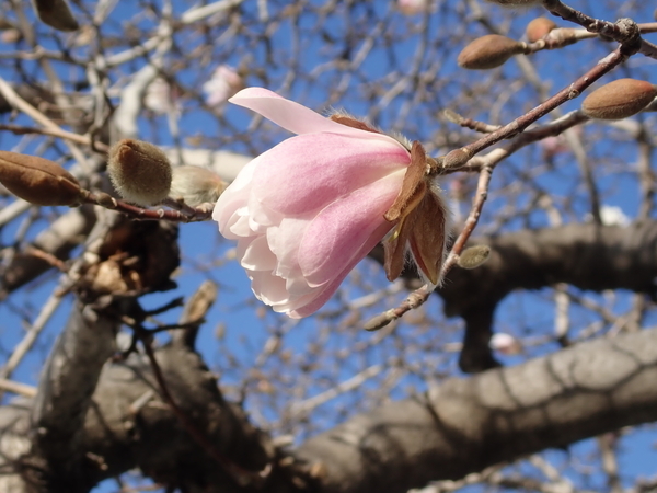 f:id:gzutetsu:20200312083448j:image